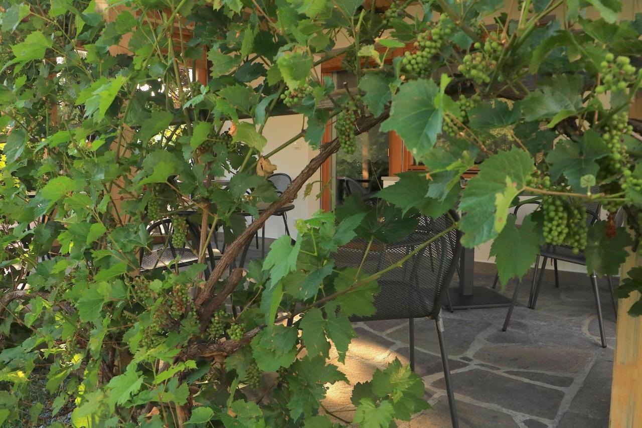 B&B Fruehlingsheim Racines Exterior foto
