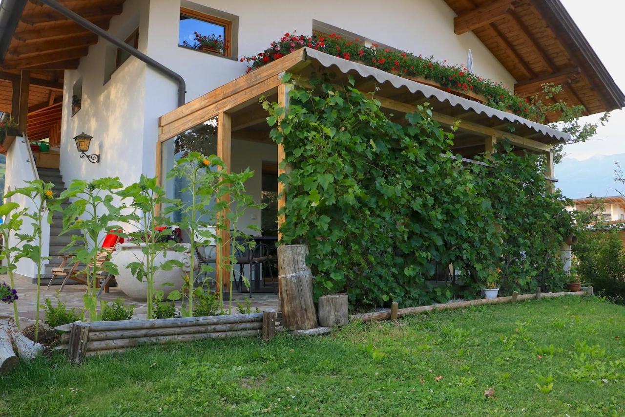 B&B Fruehlingsheim Racines Exterior foto